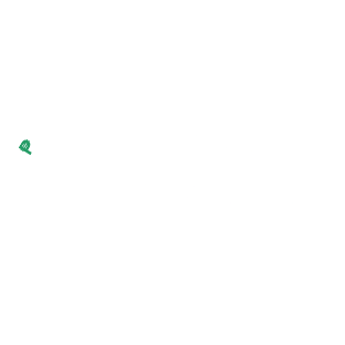 Thrive Forward